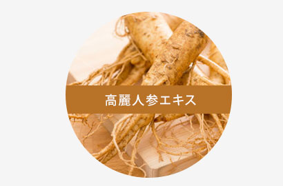 高麗人参エキス
