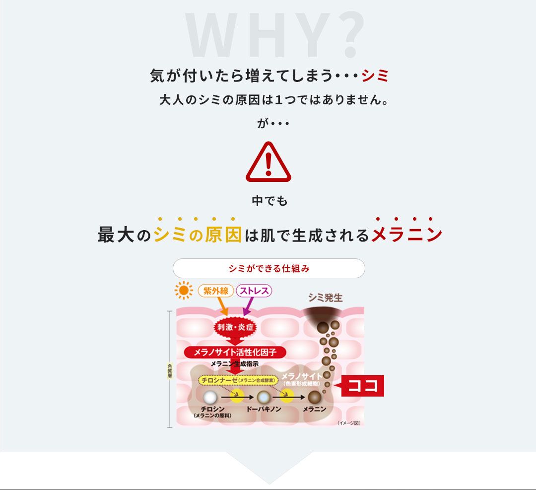 WHY? 気が付いたら増えてしまう…シミ　大人のシミの原因は１つではありません。が…中でも最大のシミの原因は肌で生成されるメラニン