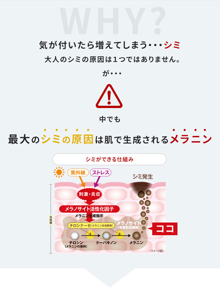 WHY? 気が付いたら増えてしまう…シミ　大人のシミの原因は１つではありません。が…中でも最大のシミの原因は肌で生成されるメラニン