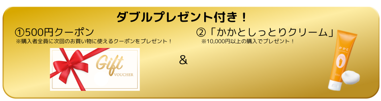 ダブルプレゼント付き！ / 原液・美顔器のパイオニアEBiS（エビス）化粧品