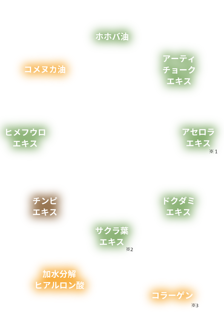 ホホバ油 アーティチョークエキス アセロラエキス ドクダミエキス サクラ葉エキス チンピエキス ヒメフウロエキス コメヌカ油 加水分解ヒアルロン酸 コラーゲン
