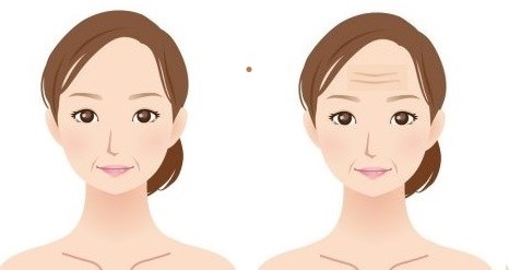 1本増えてもこんなに老けるの しわに関しての話 Ebis化粧品