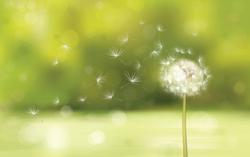 これからの季節要注意！ 花粉症と肌荒れの関係とは？ 