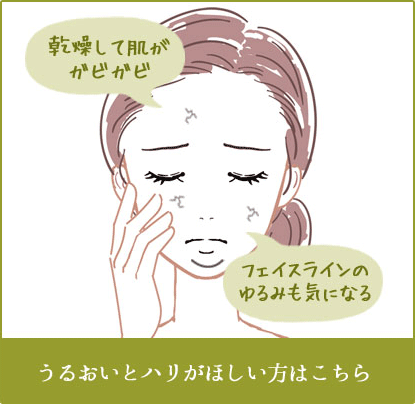 うるおいとハリがほしい方はこちら