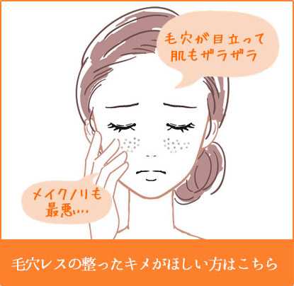 毛穴レスの整ったキメがほしい方はこちら