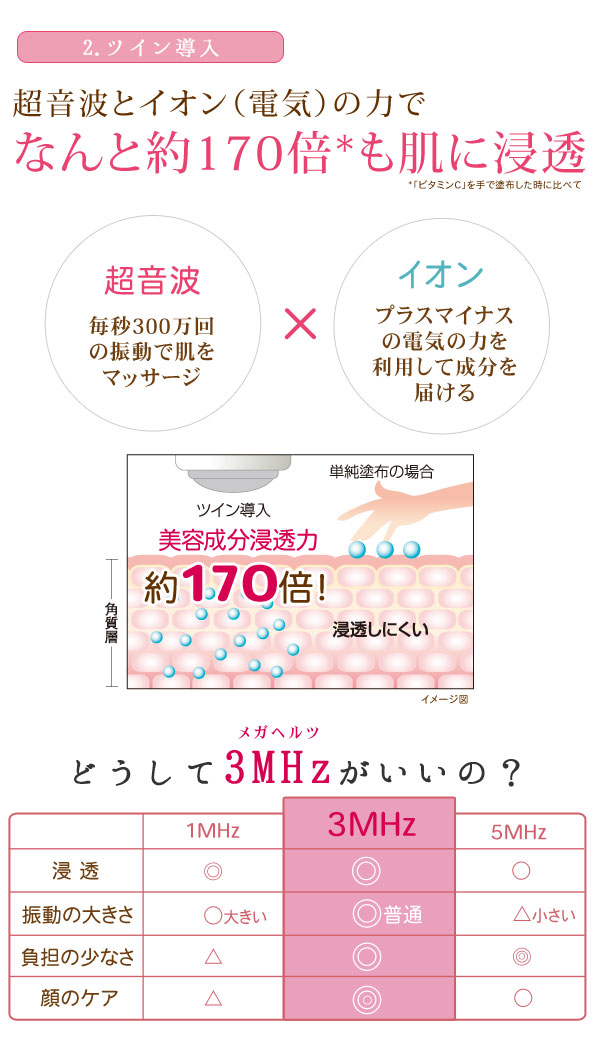 2.ツイン導入