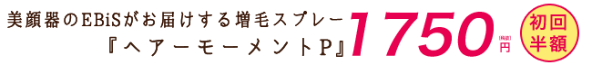 『ヘアーモーメントP』 1750円（税抜き）