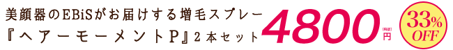 『ヘアーモーメントP』 4800円（税抜き）