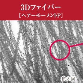 3Dファイバー