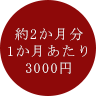 約2か月分1か月あたり3000円