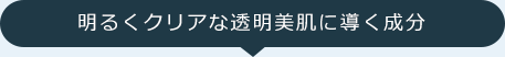 明るくクリアな透明美肌に導く成分