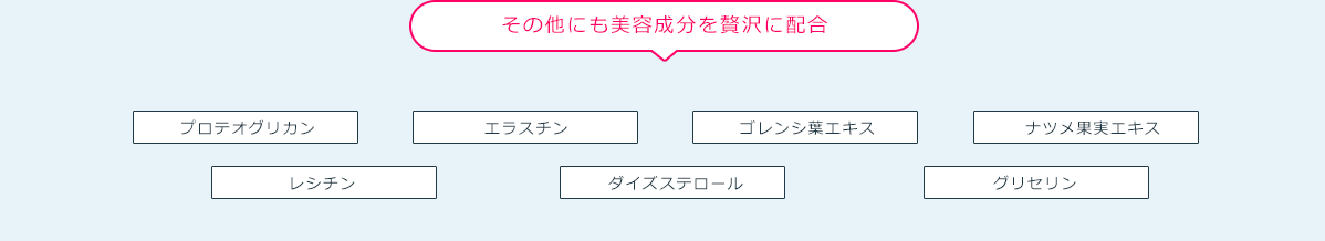 その他にも美容成分を贅沢に配合 プロテオグリカン,エラスチン,ゴレンシ葉エキス,ナツメ果実エキス,レシチン,ダイズステロール,グリセリン