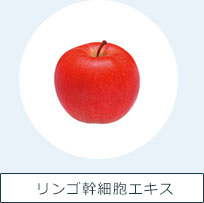 リンゴ幹細胞エキス