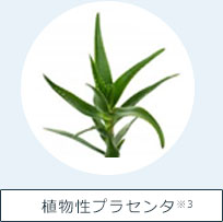 植物性プラセンタ※3