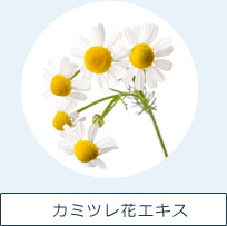 カミツレ花エキス