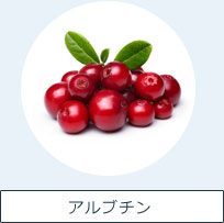 アルブチン