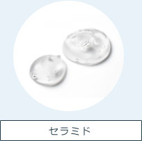 セラミド