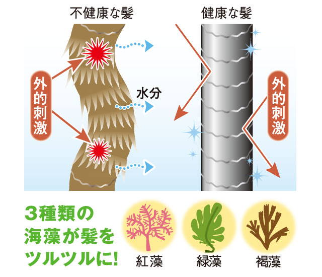 頭皮美容のための5つのお約束