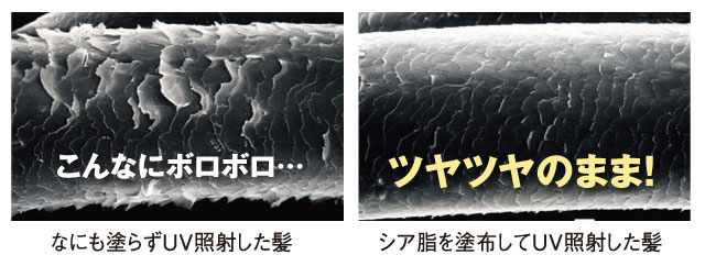 頭皮美容のための5つのお約束