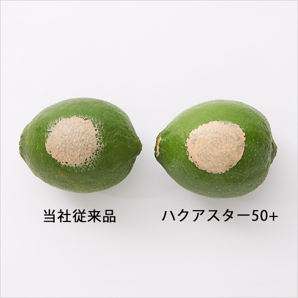 ハクアスター50+|美顔器・原液美容液のエビス化粧品