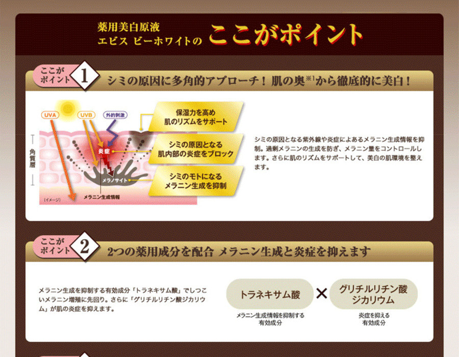 エビス ビーホワイト  2本セット