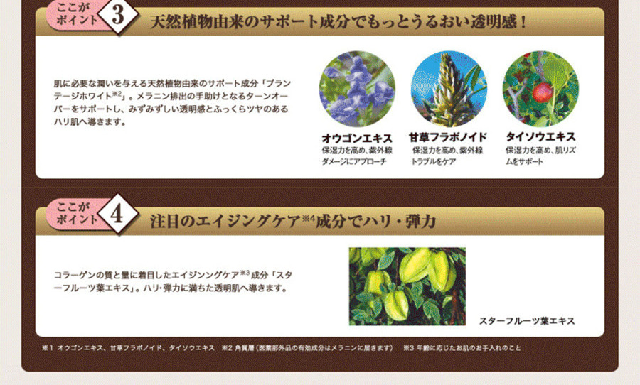 エビス ビーホワイト  2本セット