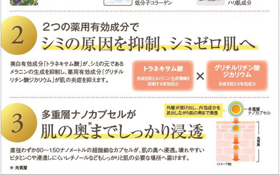【WEB限定】エビス ビーホワイト 原液＆クリームセット