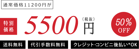 通常価格11200円が　特別価格5000円（税込）50%OFF