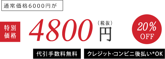 通常価格6000円が　特別価格4800円（税込）20%OFF