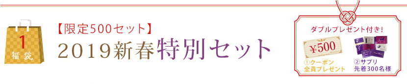 【限定500セット】2019新春特別セット