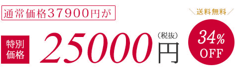通常価格37900円が特別価格25000円（税抜）34%OFF　送料無料