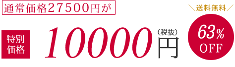 通常価格68700円が特別価格30000円（税抜）58%OFF　送料無料