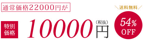 通常価格22000円が特別価格10000円（税抜）54%OFF　送料無料