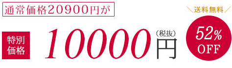 通常価格20900円が特別価格10000円（税抜）52%OFF　送料無料