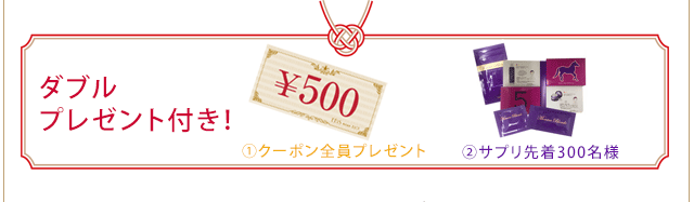 ダブルプレゼント付き！
