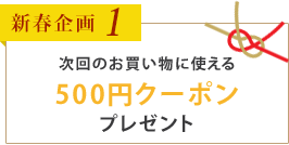 新春企画1　次回のお買い物に使える500クーポンプレゼント