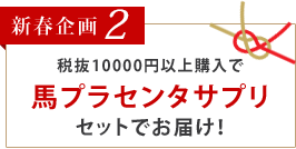 新春企画2　税抜10000円以上購入で馬プラセンタサプリセットでお届け！