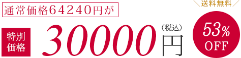 通常価格64240円が特別価格30000円（税抜）53%OFF　送料無料