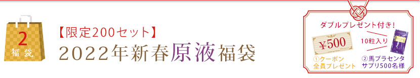 【限定100セット】2022年新春原液福袋