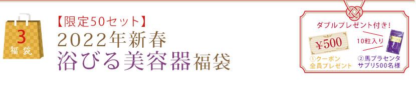 【限定100セット】2021年新春浴びる美容器福袋