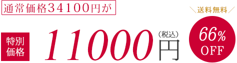 通常価格31700円が特別価格11000円（税抜）65%OFF　送料無料