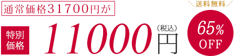 通常価格31700円が特別価格10000円（税抜）65%OFF　送料無料
