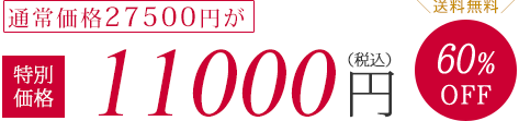 通常価格27500円が特別価格11000円（税抜）60%OFF　送料無料