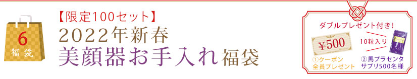 【限定100セット】2022年新春美顔器お手入れ福袋