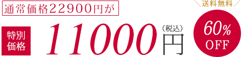通常価格22900円が特別価格11000円（税抜）60%OFF　送料無料