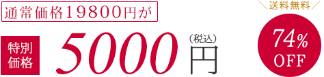 通常価格19800円が特別価格5000円（税抜）74%OFF　送料無料