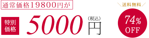 通常価格19800円が特別価格5000円（税抜）74%OFF　送料無料