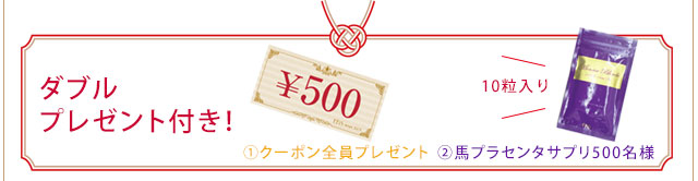 ダブルプレゼント付き！