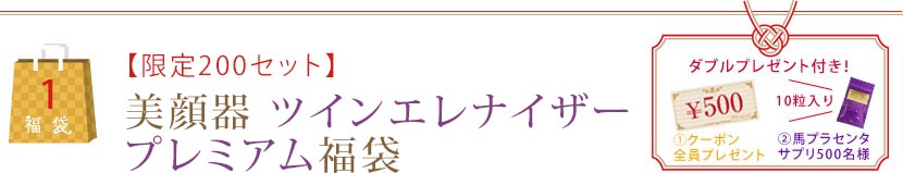 【限定200セット】美顔器 ツインエレナイザープレミアム福袋