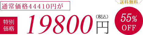 通常価格44440円が特別価格19800円（税抜）55%OFF　送料無料